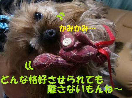 53102791.jpeg
