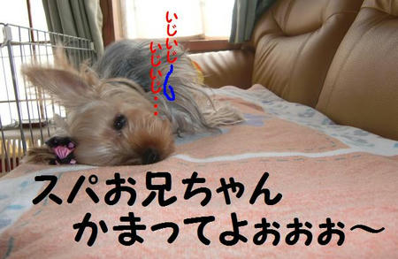 9.JPG
