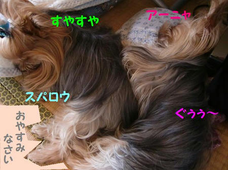 10.JPG