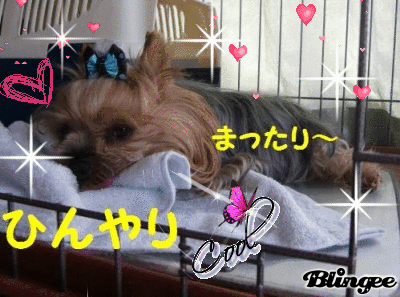 650898204_851524.gif
