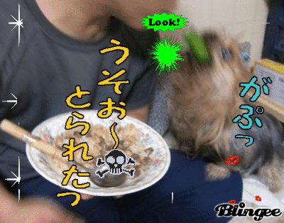 6.gif