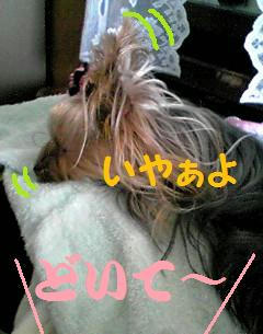ac8e828c.jpeg