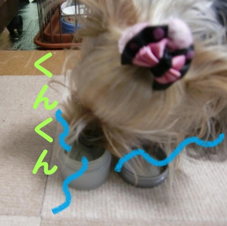 a6658f9a.jpg