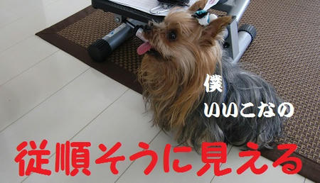 ff8abcc1.jpeg