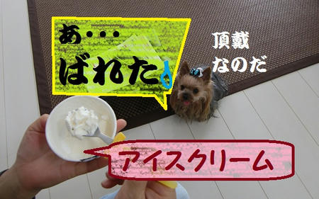 d762c026.jpeg