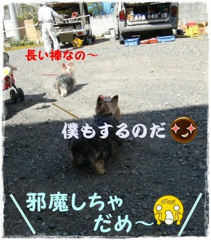 71a801b6.jpeg