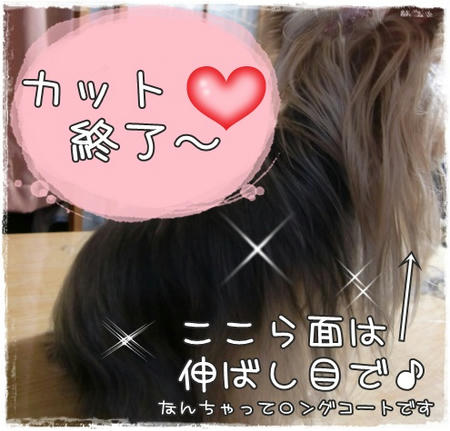 04.JPG