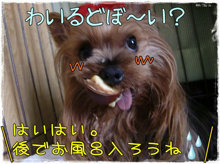 895a4b02.JPG