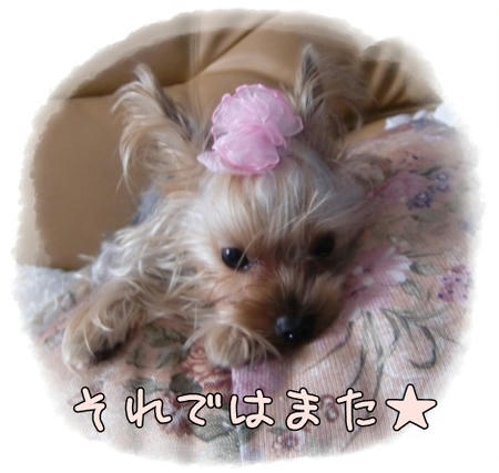 85db3686.JPG