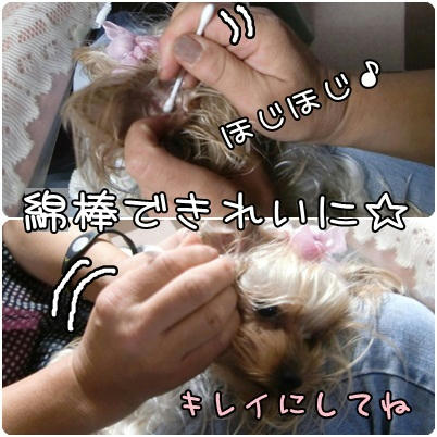 165585d6.jpeg