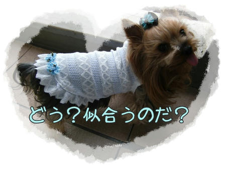 9410a709.jpeg