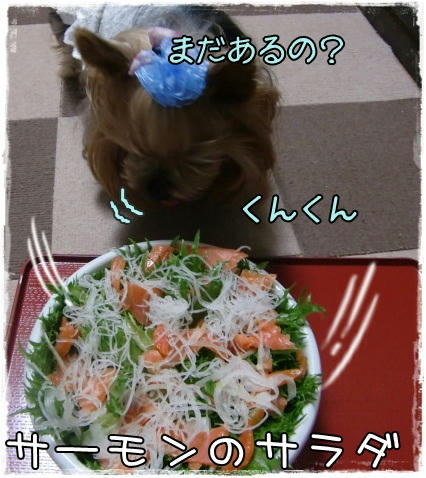 a83bfc64.jpeg