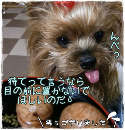 3a487810.jpeg
