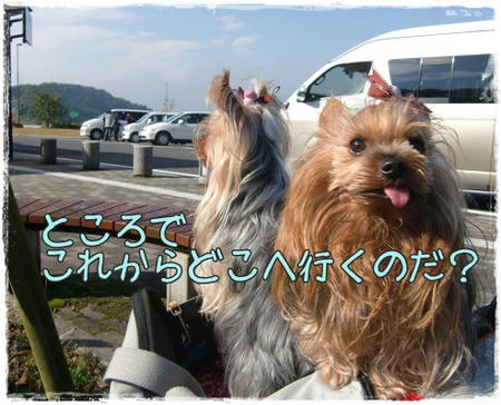 c85fc906.jpeg