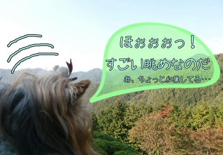 40a32933.jpeg