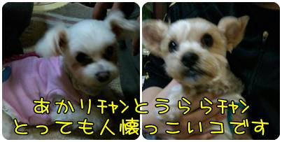 58611fb0.jpeg