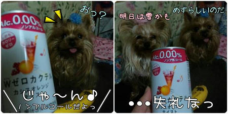 887118a1.jpeg