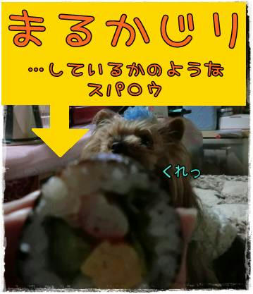 c850531a.jpeg