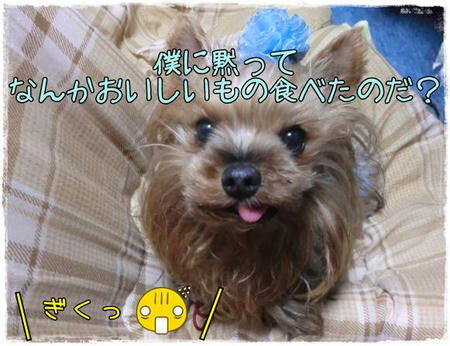 CIMG0348.JPG