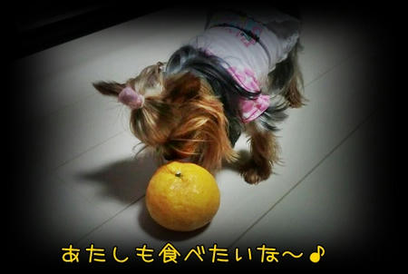 13052102.JPG