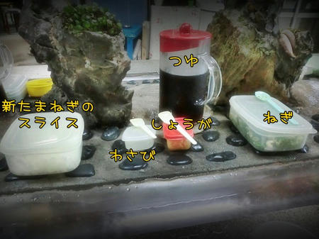 13052504.JPG