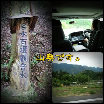 13052502.jpg