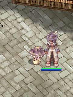 ros-4.jpg