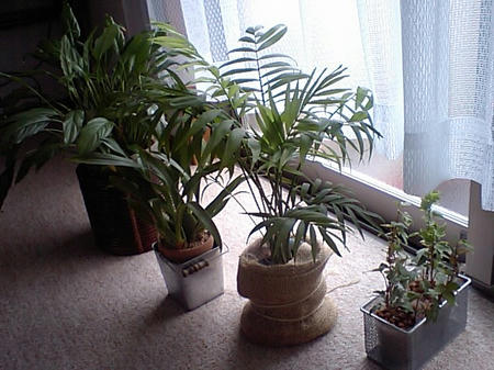 CA370227.JPG