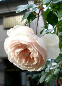 7ffb3120.jpg
