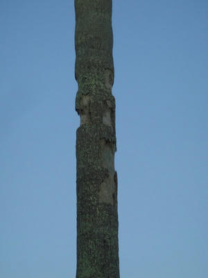 DSC08508.jpg