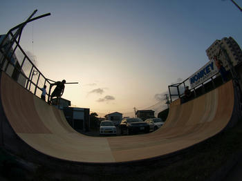 P8123431.jpg