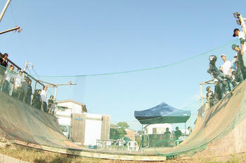 IMG_1289.jpg