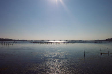 うみ（浜名湖）を望む