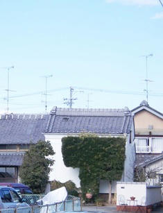 なんの形？