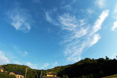 龍雲の全身