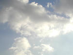 12/29空