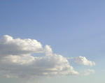 01/19空