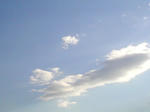 02/06空