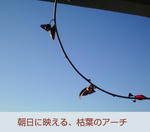 01/24アーチ