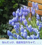 04/05