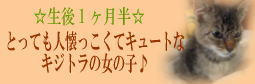 eringisatooya.jpg