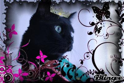 159a5b1e.gif