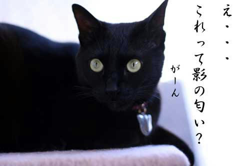 ef83c78d.jpeg