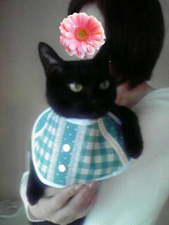 2010031316230000.jpg