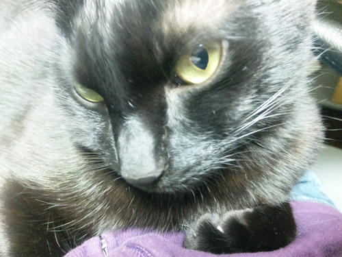 SH380085.jpg