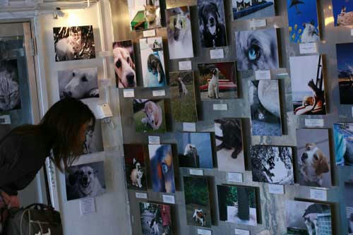 2005.jpg