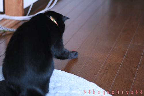 b021c823.gif
