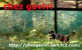 shopbanner170.jpg