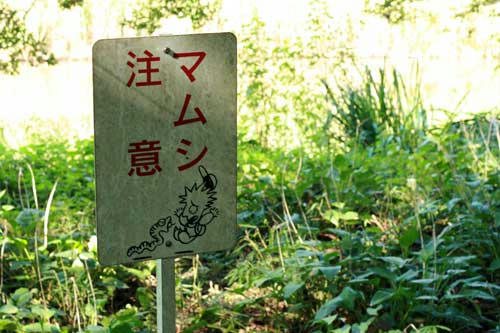 tsubo9.jpg