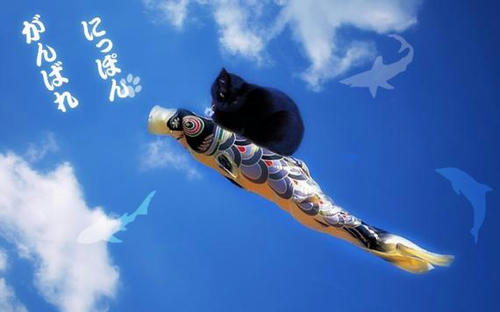 20110502054442a92s.jpg